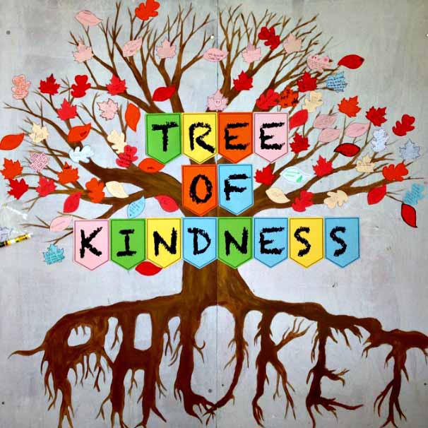 Phuket academy Kindness tree at Phuket Academy