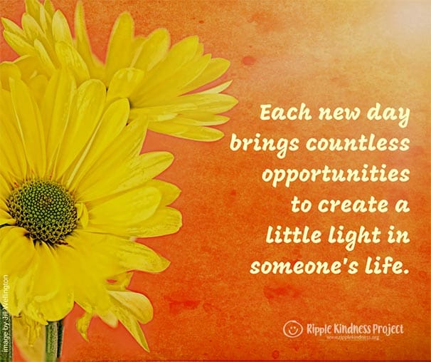 Each New Day Brings Countless Opportunities To Create A Little Light