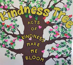Fig-Tree-Pocket-State-School-Kindness-Tree Fig Pocket State School Kindness Tree
