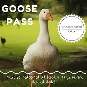 Jfk-Elementary-Goose-Pass