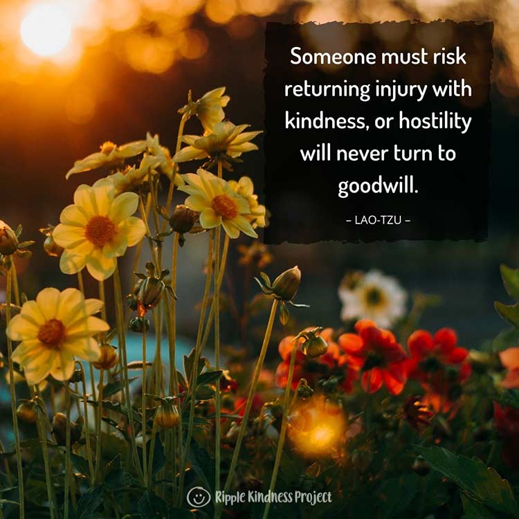Someone Must Risk Returning Injury With Kindness Or Hostility Will Never Turn To Goodwill