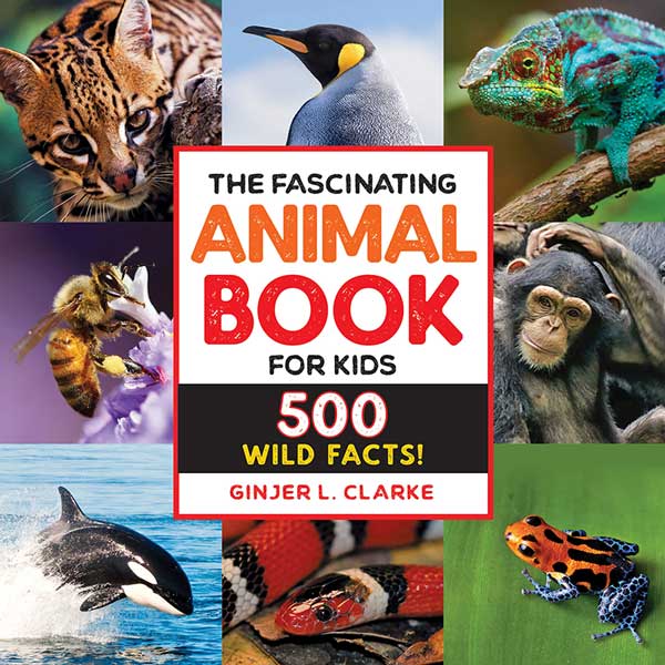 The Fascinating Animal Book For Kids