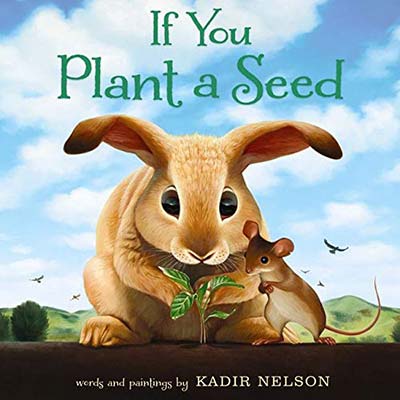 Picture Story Book, If You Plant A Seed